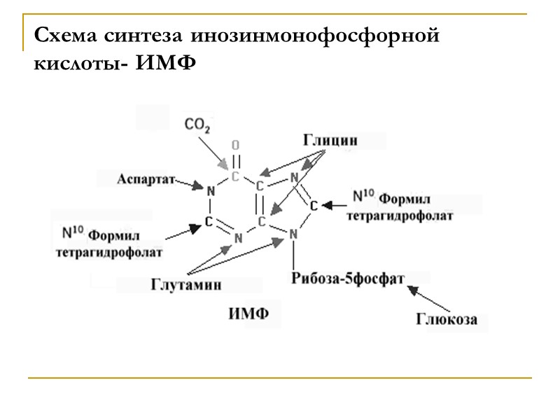 Схема синтеза инозинмонофосфорной кислоты- ИМФ